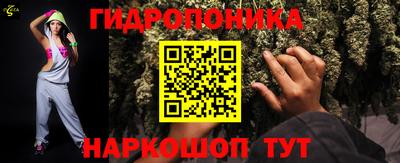 Альфа ПВП Кандалакша