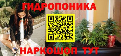 Альфа ПВП Кандалакша