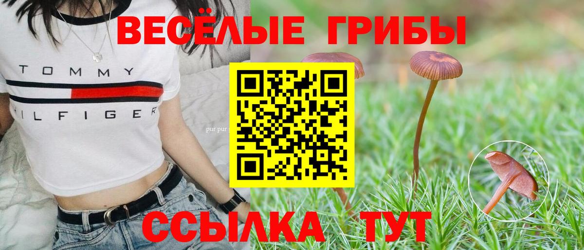 Псилоцибиновые грибы ЛСД Кубинка