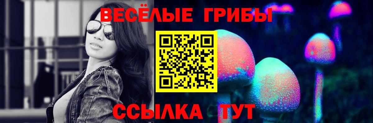 Галлюциногенные грибы Cubensis  Вход с VPN  Кубинка 